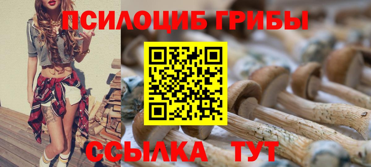 что такое   Вход с VPN  Калуга  Псилоцибиновые грибы прущие грибы 