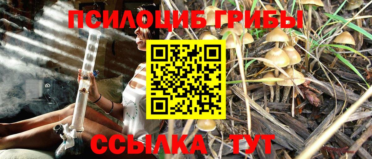 Псилоцибиновые грибы прущие грибы Калуга